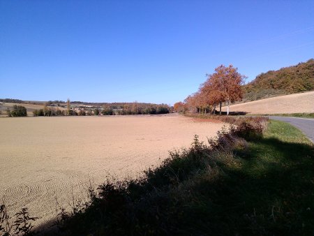 004-autumn-colours-080-the-mill-is-at-the-end-of-the-line-of-trees.jpg.medium.jpeg