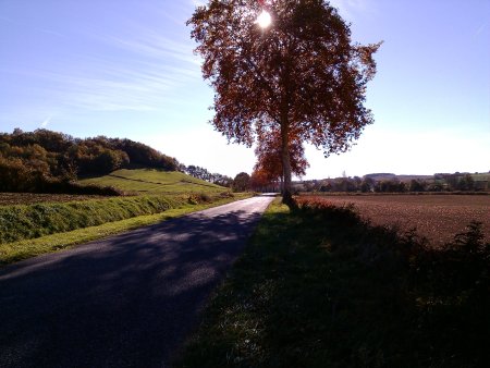 005-autumn-colours-082-the-road-south-from-the-mill.jpg.medium.jpeg