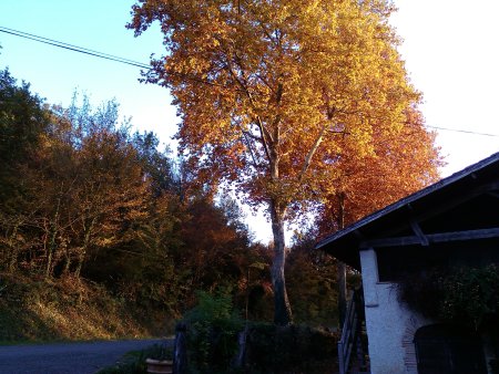 006-autumn-colours-084-evening-sun-at-the-front-of-the-mill.jpg.medium.jpeg