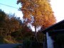 006-autumn-colours-084-evening-sun-at-the-front-of-the-mill.jpg.small.jpeg