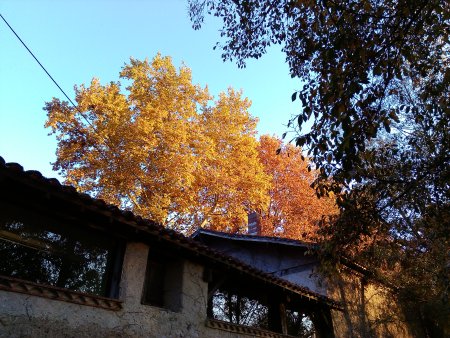 007-autumn-colours-086-evening-sun-at-the-back-of-the-mill.jpg.medium.jpeg