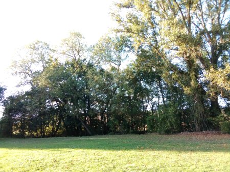 003-IMG_20171005_180455.jpg.medium.jpeg